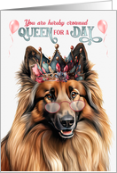 Birthday Belgian Tervuren Dog Funny Queen for a Day card