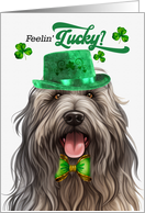 St Patrick’s Day Bergamasco Dog Feelin’ Lucky Clovers card