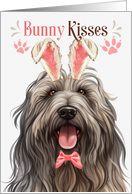 Easter Bunny Kisses Bergamasco Dog in Bunny Ears card