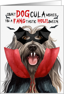 Bergamasco Dog Funny Halloween Count DOGcula card