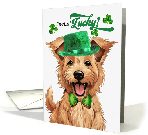 St Patrick's Day Berger Picard Dog Feelin' Lucky Clovers card