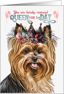 Birthday Biewer Terrier Dog Funny Queen for a Day card