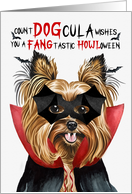 Biewer Terrier Dog Funny Halloween Count DOGcula card