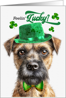 St Patrick’s Day Border Terrier Dog Feelin’ Lucky Clovers card