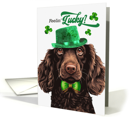 St Patrick's Day Boykin Spaniel Dog Feelin' Lucky Clovers card