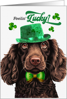 St Patrick’s Day Boykin Spaniel Dog Feelin’ Lucky Clovers card