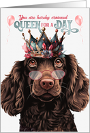 Birthday Boykin Spaniel Dog Funny Queen for a Day card