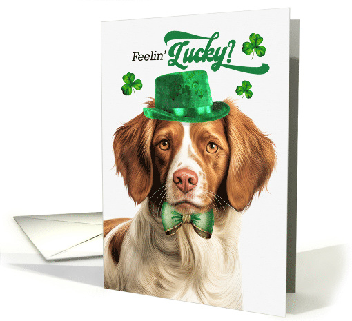 St Patrick's Day Brittany Spaniel Dog Feelin' Lucky Clovers card