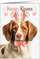 Easter Bunny Kisses Brittany Spaniel Dog in Bunny Ears