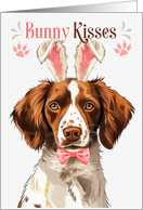Easter Bunny Kisses Brittany Spaniel Dog in Bunny Ears card