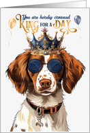 Birthday Brittany Spaniel Dog Funny King for a Day card