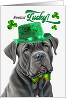 St Patrick’s Day Cane Corso Dog Feelin’ Lucky Clovers card