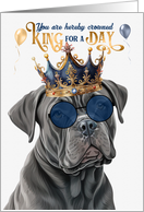 Birthday Cane Corso Dog Funny King for a Day card