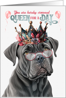 Birthday Cane Corso Dog Funny Queen for a Day card