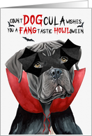 Cane Corso Dog Funny Halloween Count DOGcula card