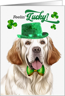 St Patrick’s Day Clumber Spaniel Dog Feelin’ Lucky Clovers card