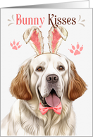 Easter Bunny Kisses Clumber Spaniel Dog in Bunny Ears card