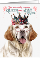 Birthday Clumber Spaniel Dog Funny Queen for a Day card