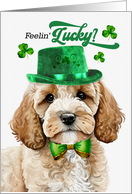 St Patrick’s Day Cockapoo Dog Feelin’ Lucky Clovers card