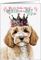 Birthday Cockapoo Dog Funny Queen for a Day card