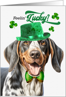 St Patrick’s Day Bluetick Coonhound Dog Feelin’ Lucky Clovers card