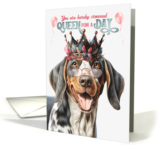Birthday Bluetick Coonhound Dog Funny Queen for a Day card (1803122)
