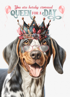 Birthday Bluetick Coonhound Dog Funny Queen for a Day
