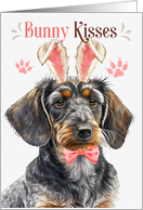 Easter Bunny Kisses Wirehaired Dachshund Dog in Bunny Ears card