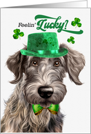 St Patrick’s Day Scottish Deerhound Dog Feelin’ Lucky Clovers card