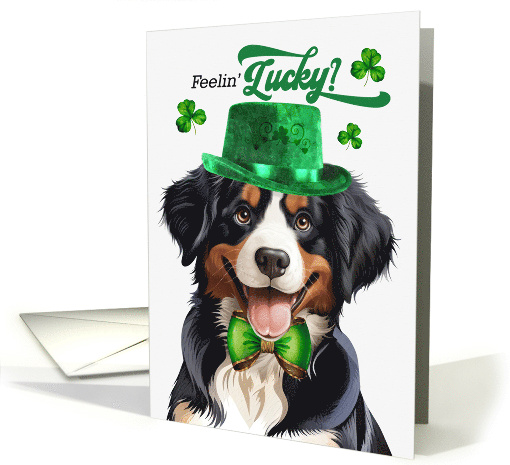 St Patrick's Day Entlebucher Mountain Dog Feelin' Lucky Clovers card