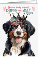 Birthday Entlebucher Mountain Dog Funny Queen for a Day card
