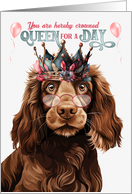 Birthday Field Spaniel Dog Funny Queen for a Day card