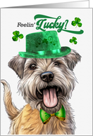 St Patrick’s Day Glen of Imaal Terrier Dog Feelin’ Lucky Clovers card