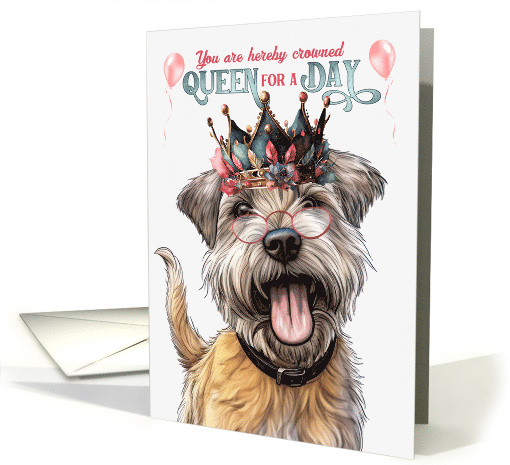 Birthday Glen of Imaal Terrier Dog Funny Queen for a Day card