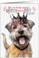 Birthday Glen of Imaal Terrier Dog Funny Queen for a Day card