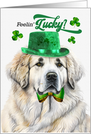 St Patrick’s Day Great Pyrenees Dog Feelin’ Lucky Clovers card