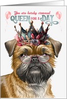 Birthday Brussels Griffon Dog Funny Queen for a Day card