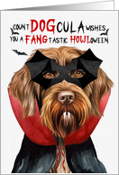 Wirehaired Pointing Griffon Dog Funny Halloween Count DOGcula card