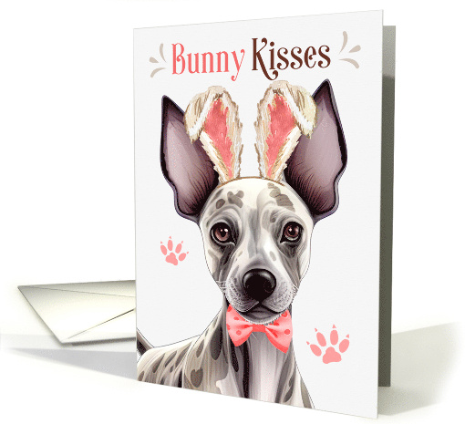 Easter Bunny Kisses Hairless Terrier Dog in Bunny Ears card (1806202)