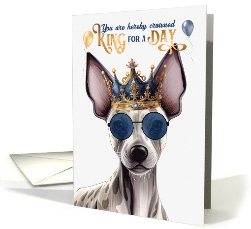 Birthday Hairless Terrier Dog Funny King for a Day card (1806220)