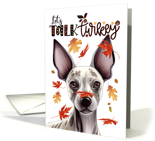 Thanksgiving Hairless Terrier Dog Let's Talk Turkey card (1806238)