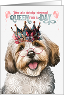 Birthday Havanese Dog Funny Queen for a Day card
