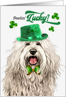 St Patrick’s Day Komondor Dog Feelin’ Lucky Clovers card