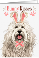 Easter Bunny Kisses Komondor Dog in Bunny Ears card