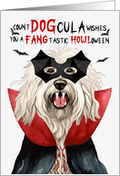 Komondor Dog Funny Halloween Count DOGcula card