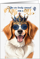 Birthday Kooikerhondje Dog Funny King for a Day card
