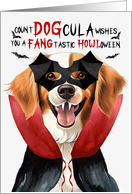 Kooikerhondje Dog Funny Halloween Count DOGcula card