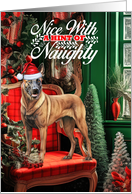 Belgian Malinois Christmas Dog Nice with a Hint of Naughty card