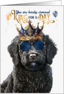 Birthday Black Labradoodle Dog Funny King for a Day card