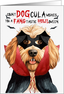 Caramel Labradoodle Dog Funny Halloween Count DOGcula card